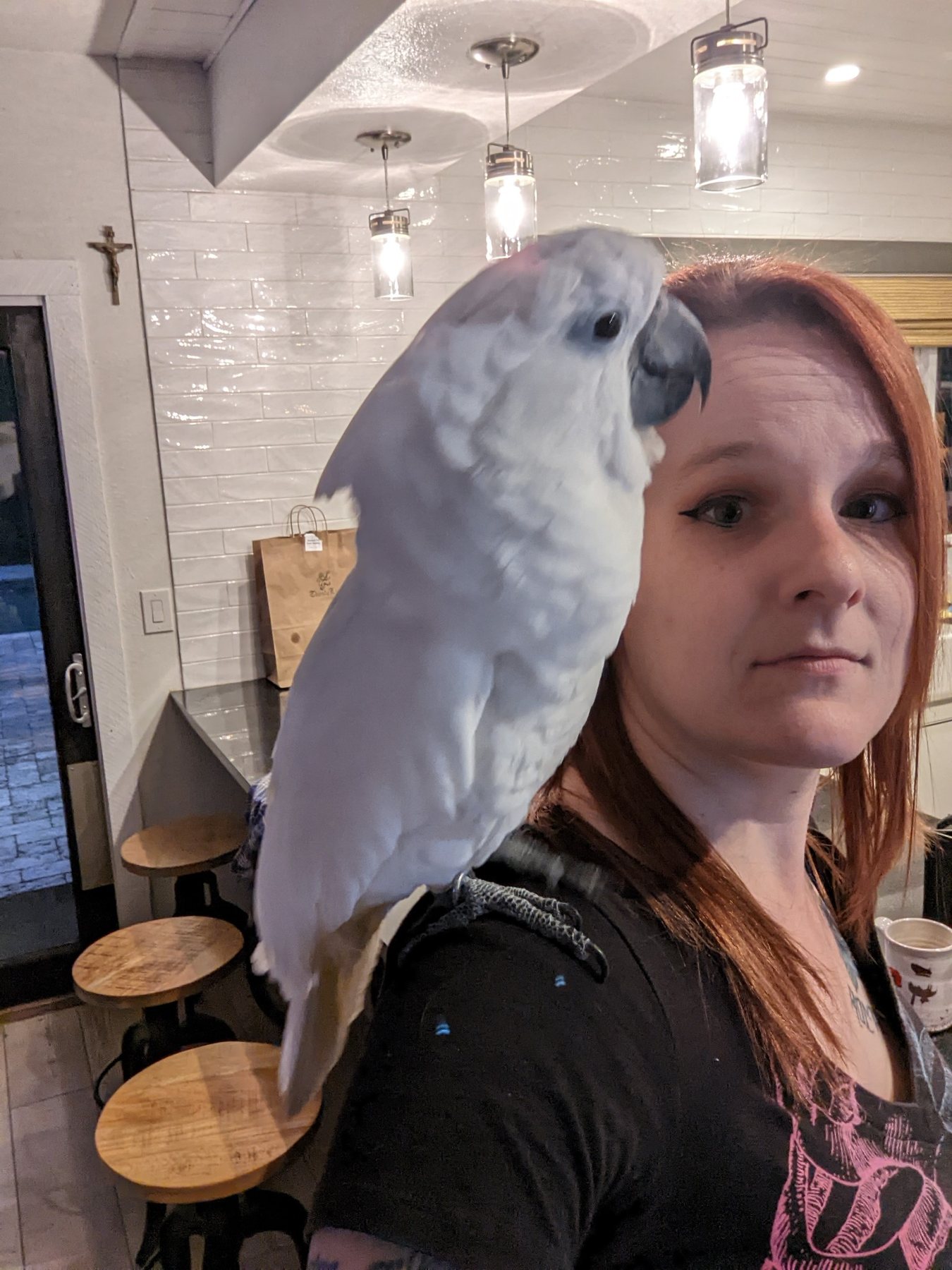 Large white bird perched on a person's shoulder